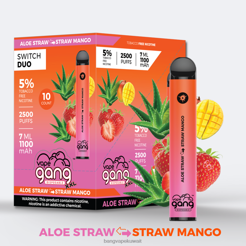 Bang Box Vape Flavors - Vape Gang Switch Duo 2 نكهات (صندوق 10) الصبار الفراولة - الفراولة المانجو L0B4L38
