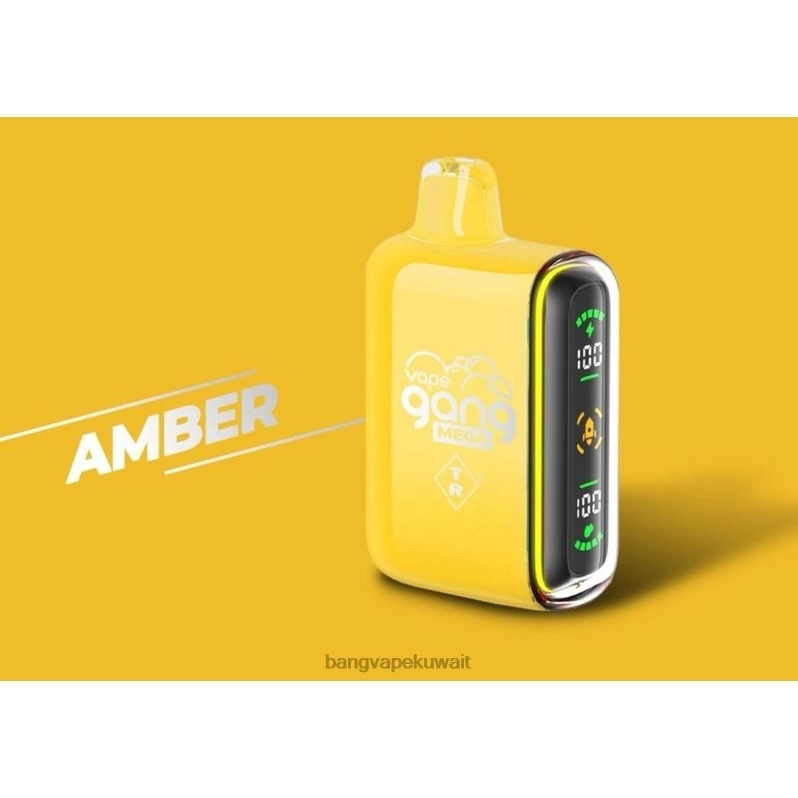 Bang Disposable Vape Flavors - Vape Gang MEGA 20.000 نفخة من السجائر الإلكترونية (علبة بها 5 عبوات) العنبر L0B4L50