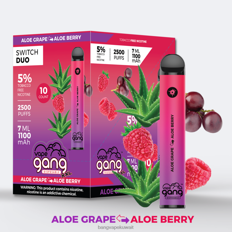 Vape Gang Shop - Vape Gang Switch Duo 2 نكهات (صندوق 10) عنب الصبار - توت الصبار L0B4L39