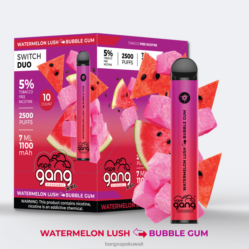 Vape Gang Shop - Vape Gang Switch Duo 2 نكهات (صندوق 10) عنب الصبار - توت الصبار L0B4L39