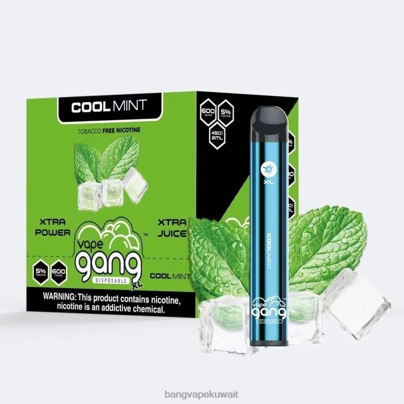 Bang Vape Flavors - Vape Gang XL vapes المتاح 600 نفخة (علبة من 10) نعناع منعش L0B4L79
