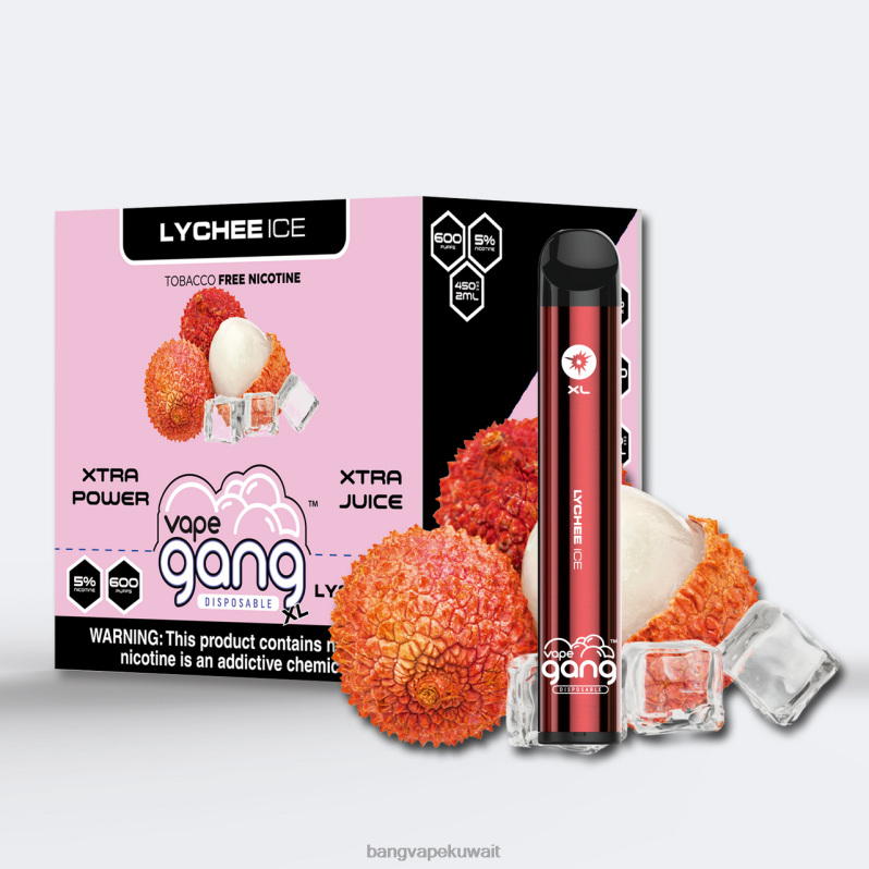 Vape Gang Disposables - Vape Gang XL vapes المتاح 600 نفخة (علبة من 10) ثلج ليتشي L0B4L75