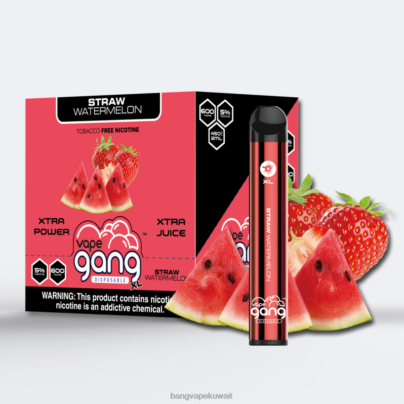 Vape Gang Kuwait - Vape Gang XL vapes المتاح 600 نفخة (علبة من 10) قش البطيخ L0B4L74